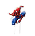 Load image into Gallery viewer, Spider-Man Party
